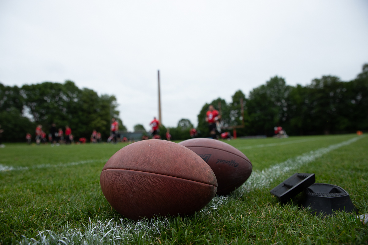 Vorschau_Lions_Flag_Team.jpg